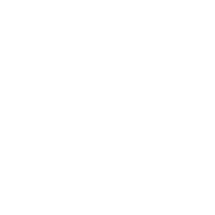 The Next Voice